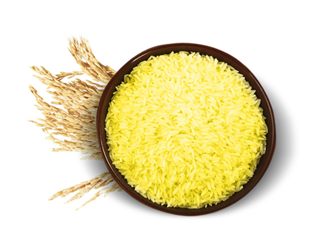 Yellow Rice